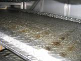 Spraytunnel typ EST in a food-producting industry in Austria